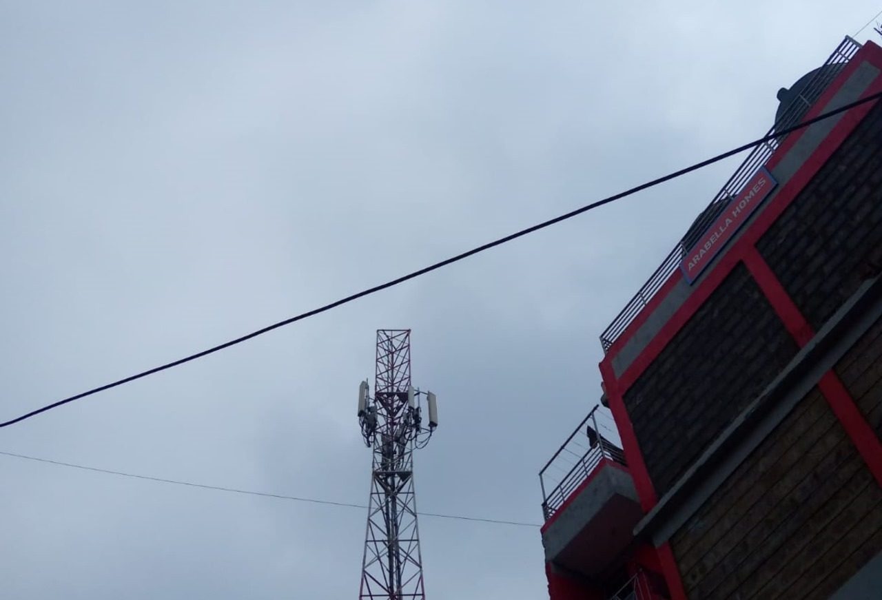 Beautifully erected network mast and a building