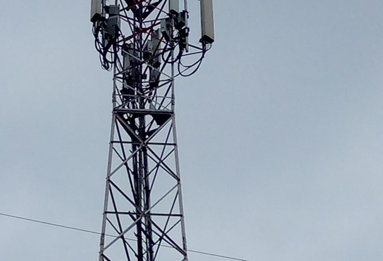 Network mast