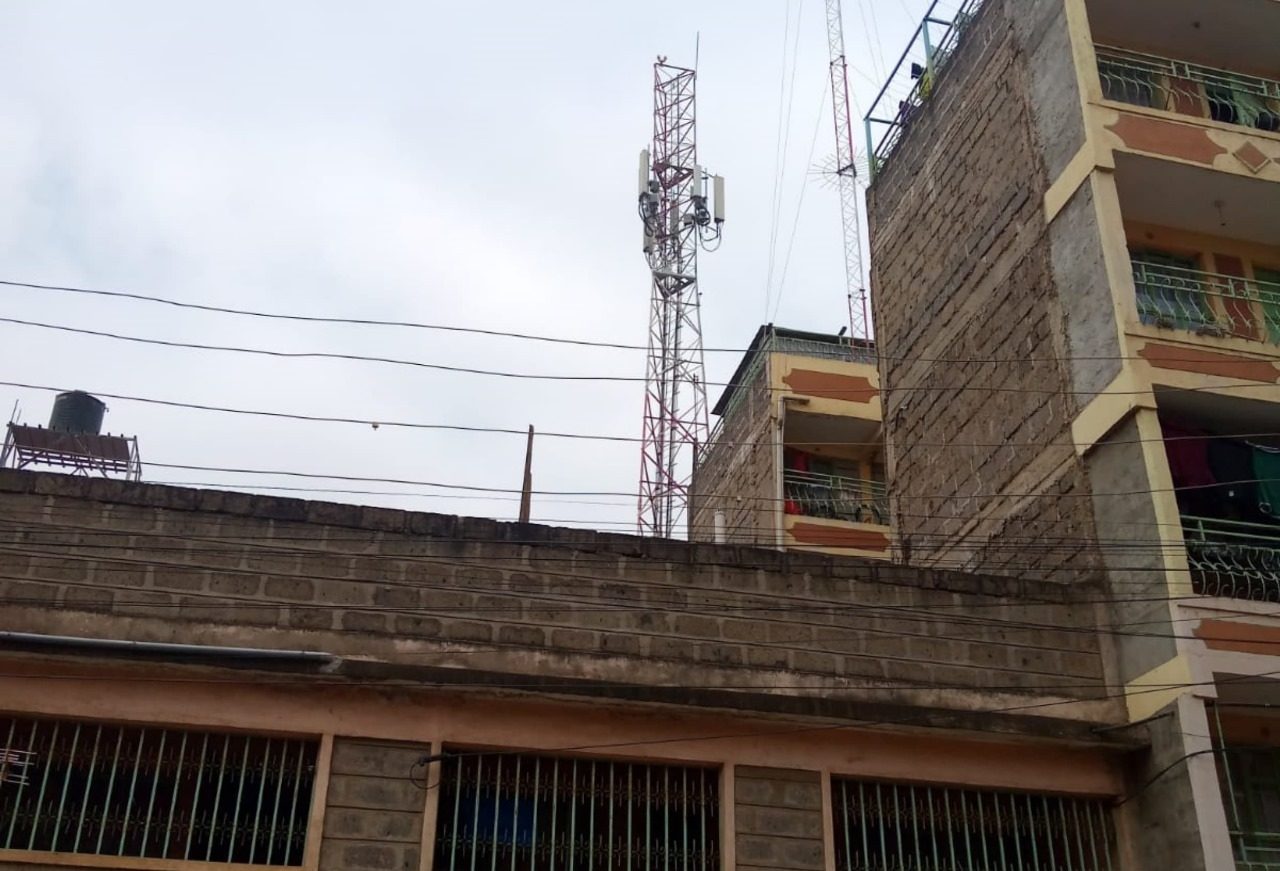 Network mast and a building