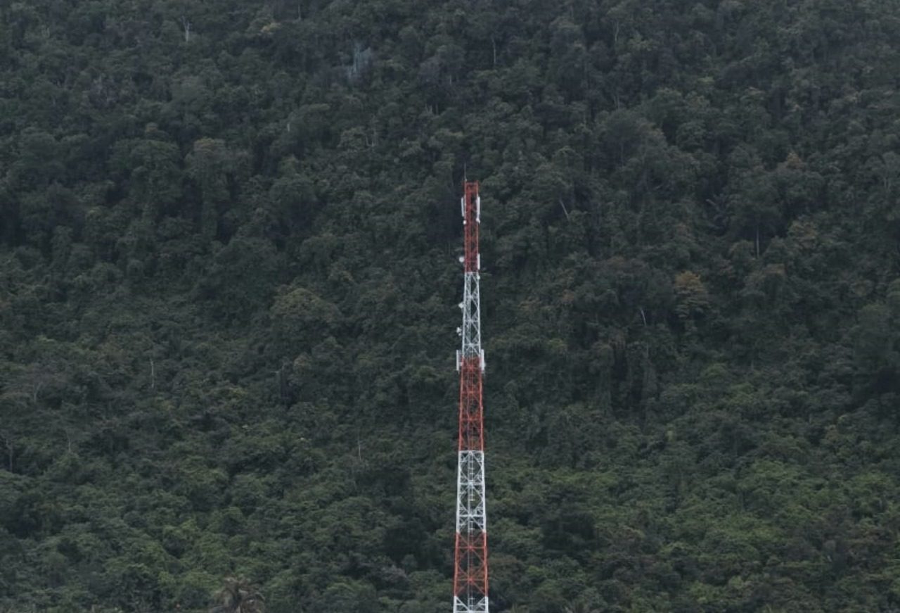 Telecommunication mast_tree background